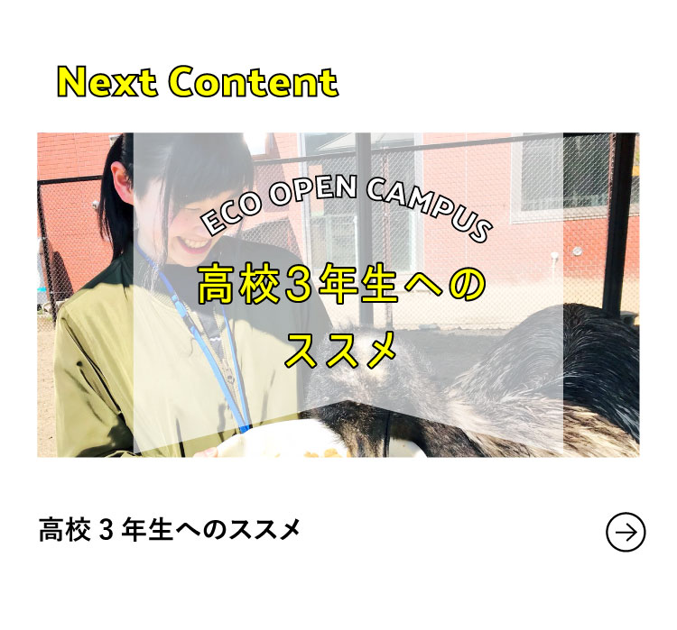 Next Content 