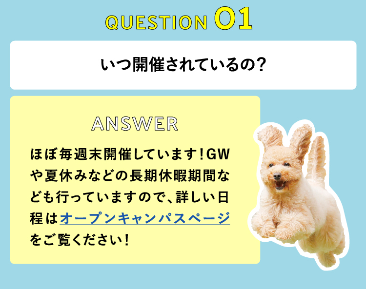 いつ開催されているの？　ほぼ毎週末開催しています！GWや夏休みなどの長期休暇期間なども行っていますので、詳しい日程はオープンキャンパスページをご覧ください！