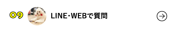 LINE・電話で質問