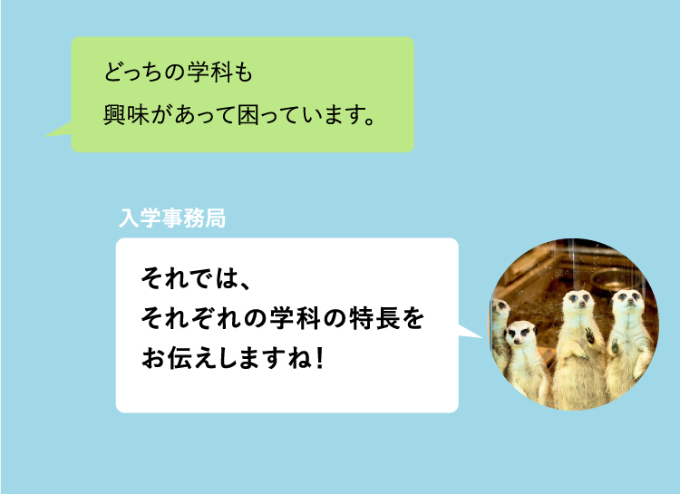 どっちの学科も興味があって困っています。 それでは、それぞれの学科の特長をお伝えしますね！