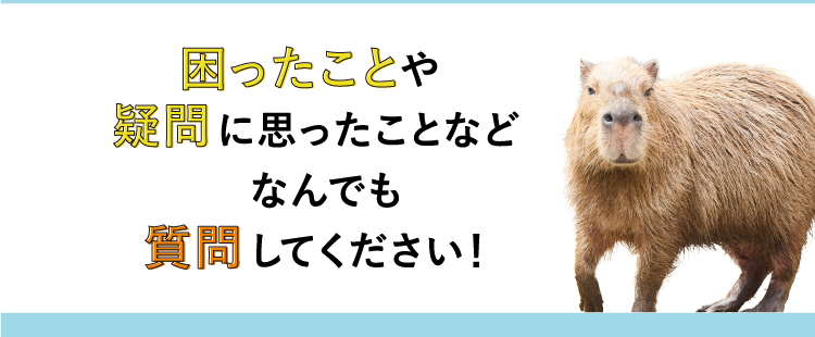 困ったことや疑問に思ったことなどなんでも質問してください！