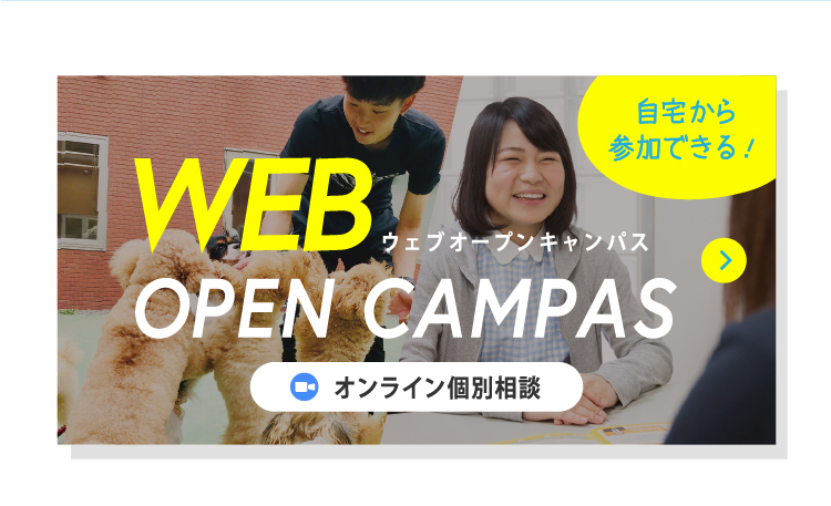 電話で質問する 0120-36-8219