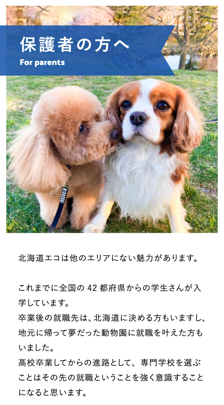保護者の方へ 北海道エコは他のエリアにない魅力があります。これまでに全国の42都府県からの学生さんが入学しています。卒業後の就職先は、北海道に決める方もいますし、地元に帰って夢だった動物園に就職を叶えた方もいました。高校卒業してからの進路として、専門学校を選ぶことはその先の就職ということを強く意識することになると思います。