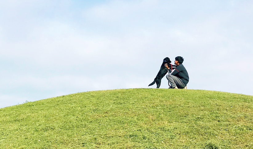 パートナードッグ制度