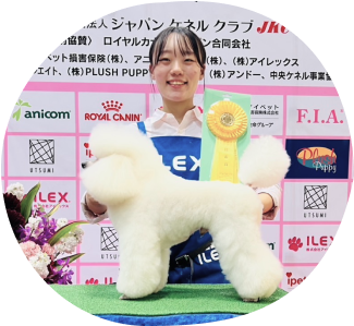 ショークリップ例2