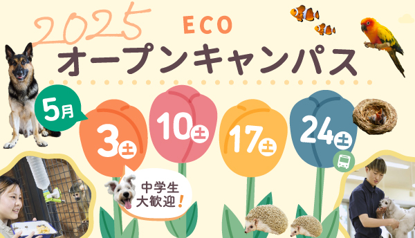 2025年5月オープンキャンパス