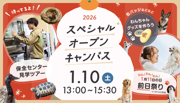 2026年1月スペシャルオープンキャンパス1