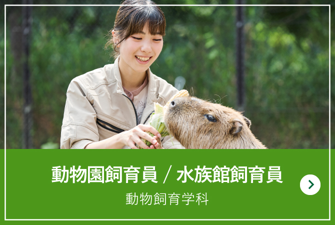 動物飼育学科