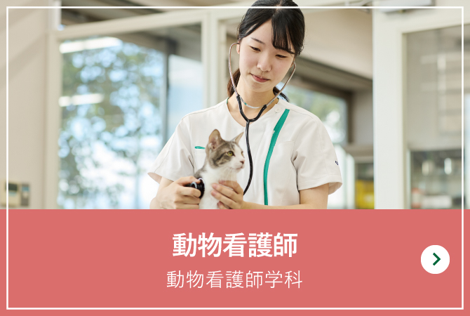 動物看護師学科