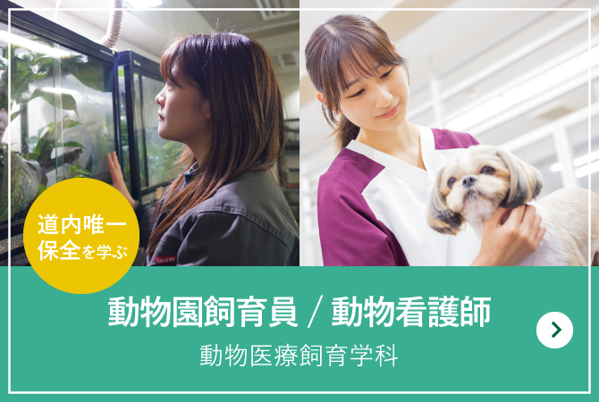 動物医療飼育学科