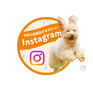 学校の特徴まるわかり！北海道エコのInstagram