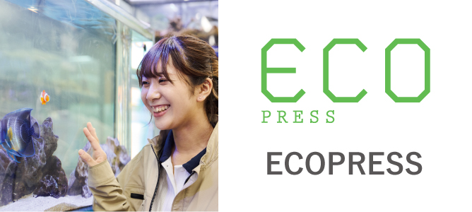 ECO TV